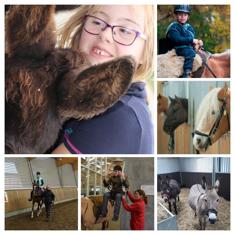 foto 4 - stallen-COLLAGE.jpg foto 4 - stallen-COLLAGE.jpg